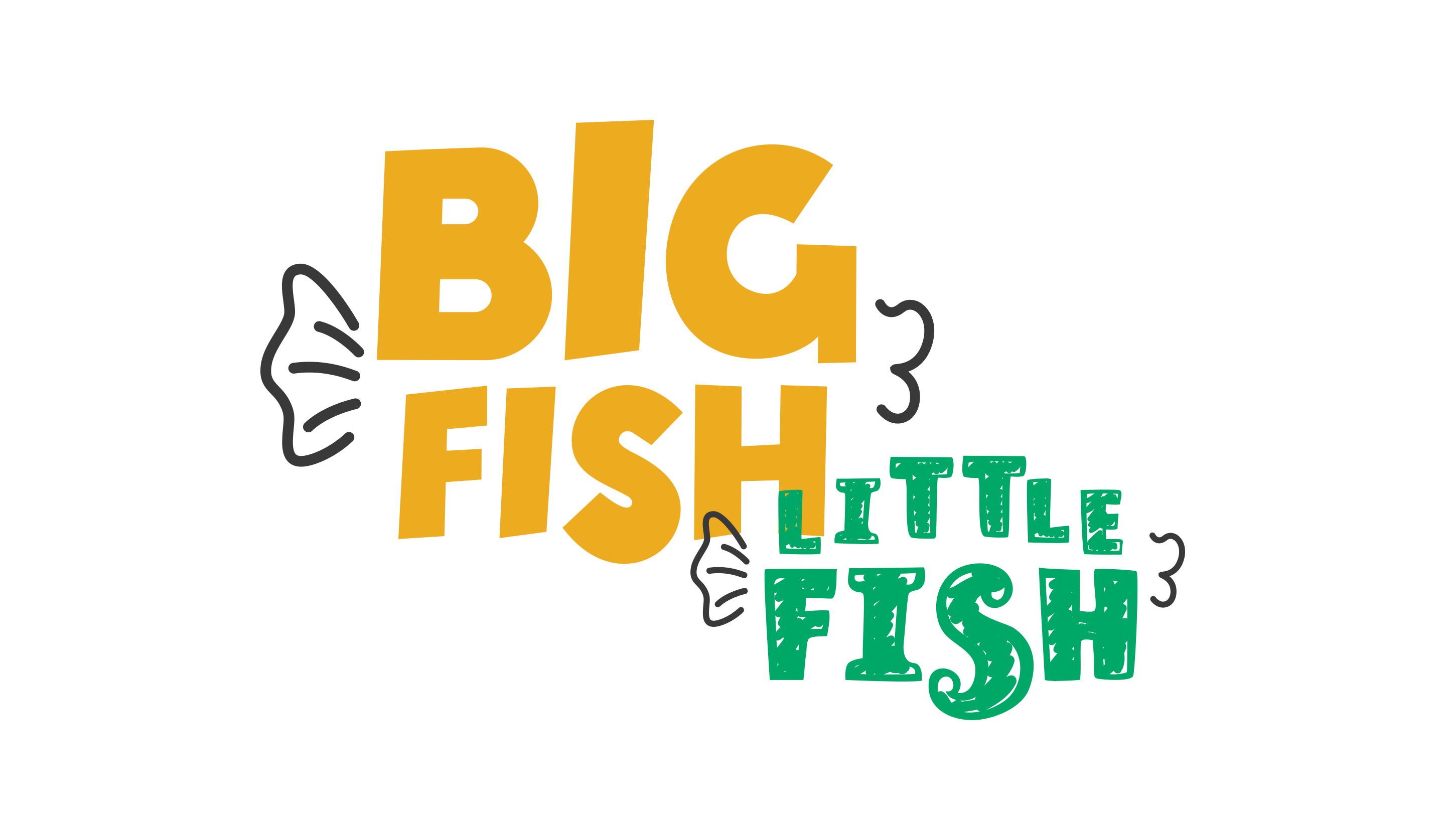 Mindful Magic 'Big Fish Little Fish' emotional regulation tool and communication flashcards 